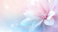 Delicate pink lotus flower with soft petals on dreamy pastel background with bokeh lights and gentle blue gradient, creating serene spa atmosphere.