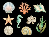 Watercolor ocean clipart set with seashells, coral, starfish, seahorse, and seaweed, isolated on transparent background, ready for stickers, T-shirts, and print on demand.