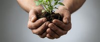 Hands gently holding young green plant seedling with soil, symbolizing growth, environmental care, sustainability and new life beginning.