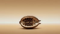 Dried baobab fruit pod with open shell revealing seeds and interior texture against neutral beige background, suitable for botanical and natural product design.