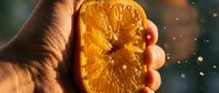 Hand holding fresh sliced orange with juice droplets, vibrant citrus fruit for food and beverage design projects.