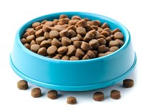 Dry brown pet food kibbles in bright turquoise plastic bowl with scattered pieces around, isolated on white background for pet supply advertising and packaging.
