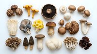 Assorted fresh mushroom varieties including shiitake, oyster, chanterelle, portobello and enoki arranged on white background for culinary cooking ingredients.