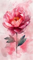 Pink peony flower watercolor artwork with delicate petals and soft splashes on light background, botanical art style for wall decor and greeting cards.