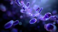 Microscopic view of glowing purple bacteria cells floating in dark space, illuminated with bioluminescent effect creating ethereal scientific atmosphere.