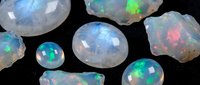 Collection of precious opal gemstones displaying vibrant rainbow fire and iridescent colors on black background for jewelry design and luxury accessories.