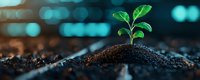 Young green plant seedling growing from fertile soil against blurred blue bokeh background, symbolizing growth, new beginnings and environmental care.