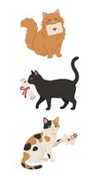Cute cartoon cats holding love letters and flowers on white background, isolated clipart for Valentine's Day greeting cards and romantic designs.