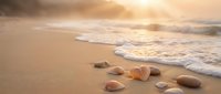Seashells scattered on sandy beach with gentle waves and golden sunset light creating peaceful coastal scene for relaxation and vacation themes.
