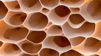 Macro view of organic honeycomb-like structure with oval cells in warm brown and beige tones creating abstract geometric pattern with depth and shadows.