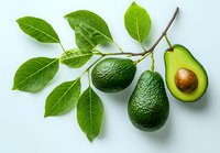 Fresh avocados on branch with green leaves, whole and cut in half showing pit, arranged on light background for healthy eating and cooking concepts.
