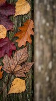 Colorful autumn leaves scattered on weathered tree bark showcasing seasonal foliage in warm orange, yellow and burgundy tones for fall nature designs.