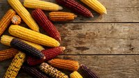 Colorful corn cobs in yellow, red, orange and purple varieties scattered on rustic wooden background. Harvest season agricultural produce for cooking.