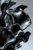 Dramatic close-up of black mushrooms with curved, textured edges against gray background, creating organic sculptural forms for culinary or artistic concepts.