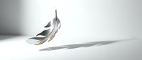 Single black and white striped feather floating gracefully above white surface with soft shadow, minimalist composition for design projects and creative concepts.