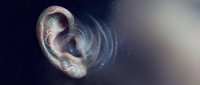 Human embryo development stages showing fetal growth in amniotic sac with cellular detail and soft lighting for medical education and pregnancy concepts.