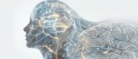 Digital brain network with glowing neural pathways and circuit patterns representing artificial intelligence, machine learning, and cognitive technology concepts.