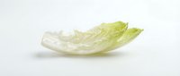 Fresh romaine lettuce leaf isolated on white background, suitable for food, nutrition, salad recipes, healthy eating, and culinary design projects.