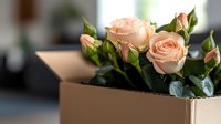 Fresh peach roses with green leaves emerging from brown cardboard box, selective focus on delicate blooms against blurred background. Perfect for delivery concepts.
