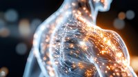 Glowing neural network inside translucent human torso showing interconnected light paths and energy flows representing artificial intelligence in medicine.
