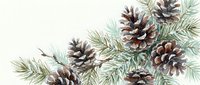 Winter holiday decoration with pine cones and evergreen branches on white background for seasonal greeting cards and festive design projects.