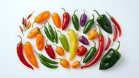 Colorful assortment of fresh hot chili peppers in red, orange, yellow, green, and purple, arranged flat lay on white background.