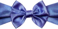 Elegant purple satin bow tie on ribbon, formal accessory for special occasions and celebrations.