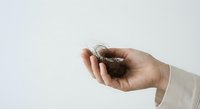 Gentle hands cradling small bird nest with eggs on clean white background. Concept of protection, care, nurturing and new life beginning.