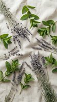 Fresh lavender sprigs and mint leaves arranged on natural linen fabric for aromatherapy, herbal medicine, cooking and spa treatments.