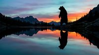 Silhouette of hiker standing by mountain lake at sunset with colorful sky reflection in calm water. Outdoor adventure and wilderness exploration concept.