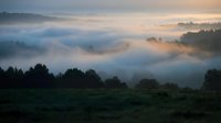 Misty morning landscape with rolling hills covered in fog at sunrise creating dreamy atmospheric scenery for nature and travel backgrounds.