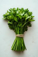 Fresh bunch of parsley tied with twine on light background, bright green stems and leaves arranged in bouquet for cooking and garnishing dishes.