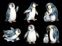Penguin characters in various poses isolated on transparent background, ready for t-shirt design, clipart, stickers, sublimation and print-on-demand products.