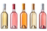 Row of wine bottles in different colors from white to rose and amber, isolated on white background for beverage and winery marketing materials.