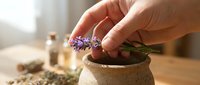 Unrecognizable person holding fresh purple lavender flowers over small potted plant with dried herbs and essential oil bottles on wooden table.