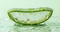 Fresh aloe vera leaf slice with water droplets on wet surface for natural skincare and wellness concepts.