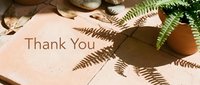 Terracotta tiles with fern shadows, a potted plant, and Thank You text in warm sunlight, evoking gratitude and natural elegance.