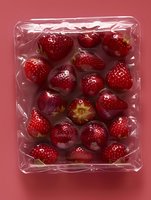 Fresh ripe strawberries in clear plastic container on red background, top view. Organic produce packaging showing juicy red berries ready for sale.