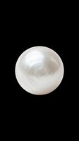 Lustrous white pearl isolated on transparent background, ready for jewelry design, stickers, t-shirt design, clipart, print on demand, and sublimation projects.