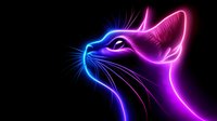 Glowing neon cat silhouette with vibrant blue and pink light effect against black background, artistic digital illustration showing feline profile with whiskers.