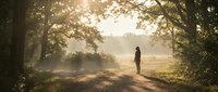 Silhouette of person standing on misty forest path at sunrise with golden sunlight filtering through trees creating peaceful morning atmosphere in nature.