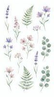 Watercolor botanical elements collection with lavender, ferns, eucalyptus and wildflowers on white background isolated for wedding invitations and floral designs.