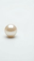 Single lustrous cream pearl with natural iridescent surface isolated on white background for jewelry design and luxury accessories.