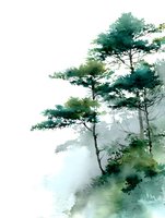 Elegant pine trees in misty forest, watercolor style painting on white background for nature-inspired wall art.