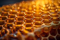 Macro shot of golden honeycomb structure with natural honey cells illuminated by warm light, showing intricate hexagonal pattern and organic texture of fresh beeswax.
