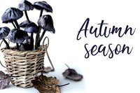 Wicker basket with dried autumn leaves and decorative mushrooms on white background with calligraphy text for seasonal design projects.