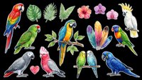Tropical parrots and macaws with exotic leaves and flowers, isolated on transparent background. Ready for t-shirt design, clipart, stickers, sublimation, and print-on-demand products.