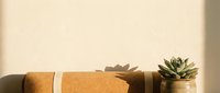 Rolled cork mat with white stripe next to potted succulent plant against neutral beige wall with natural shadow, suitable for wellness, home decor, and lifestyle design projects.