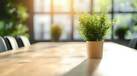 Sunlit wooden table with small potted green plant in modern minimalist interior setting, warm morning light streaming through window creates cozy atmosphere.