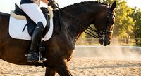 Professional dressage rider in white uniform on dark bay horse performing collected movement in sandy arena during golden hour training session.